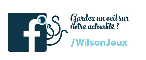 la page facebook de Wilson Jeux